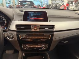 BMW X2 18D pieno