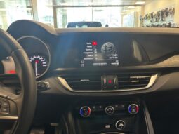 ALFA ROMEO STELVIO pieno