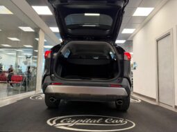 TOYOTA RAV 4 pieno