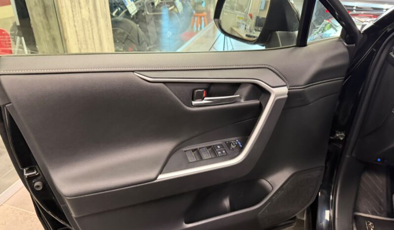 TOYOTA RAV 4 pieno